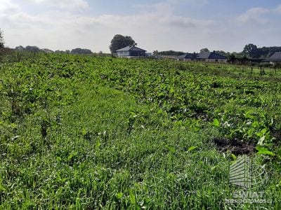 Działka na sprzedaż, Kołbaskowo Kurów, 27988 m² — FKT25196, zdjęcie 6