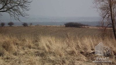 Działka na sprzedaż, Kołbaskowo Siadło Dolne, 48363 m² — ARKA1076, zdjęcie 3