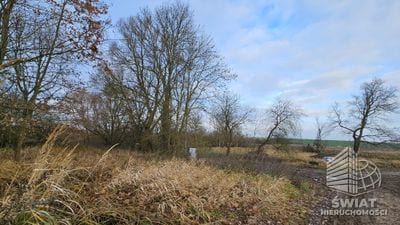 Działka na sprzedaż, Kołbaskowo Siadło Dolne, 1002 m² — HOR21619, zdjęcie 1
