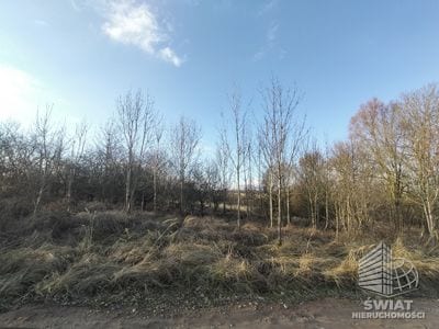 Działka na sprzedaż, Kołbaskowo Siadło Dolne, 1110 m² — SWN32393, zdjęcie 1