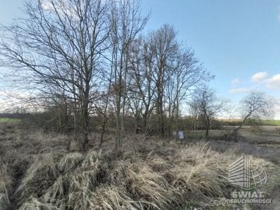 Działka na sprzedaż, Kołbaskowo Siadło Dolne, 1110 m² — SWN32393, zdjęcie 2