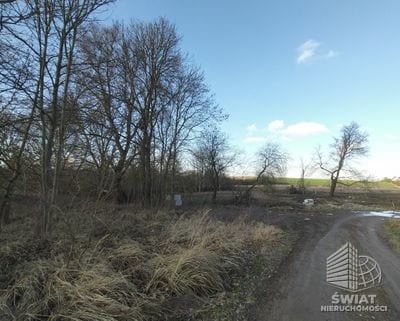 Działka na sprzedaż, Kołbaskowo Siadło Dolne, 1110 m² — SWN32393, zdjęcie 3