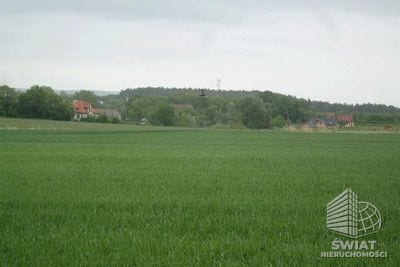 Działka na sprzedaż, Kołbaskowo Siadło Górne, 11100 m² — CIE02777, zdjęcie 1