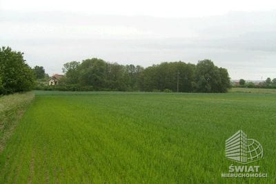 Działka na sprzedaż, Kołbaskowo Siadło Górne, 11100 m² — CIE02777, zdjęcie 2