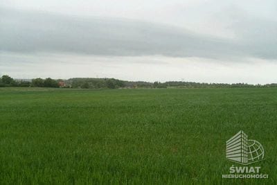 Działka na sprzedaż, Kołbaskowo Siadło Górne, 11100 m² — CIE02777, zdjęcie 3