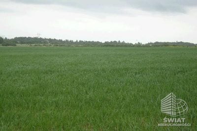 Działka na sprzedaż, Kołbaskowo Siadło Górne, 11100 m² — CIE02777, zdjęcie 4
