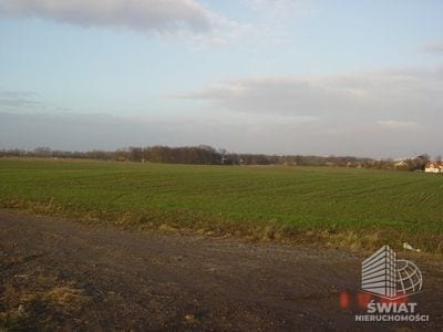 Działka na sprzedaż, Kołbaskowo Siadło Górne, 3000 m² — SCNS1160, zdjęcie 1
