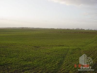 Działka na sprzedaż, Kołbaskowo Siadło Górne, 3000 m² — SCNS1160, zdjęcie 2