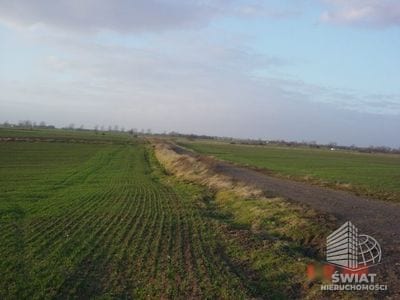 Działka na sprzedaż, Kołbaskowo Siadło Górne, 9100 m² — SCNS2525, zdjęcie 2