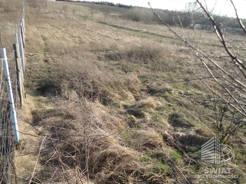 Działka na sprzedaż, Kołbaskowo Stobno, 3000 m² — ARK25245, zdjęcie 1