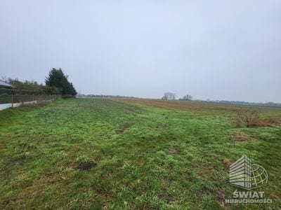 Działka na sprzedaż, Kołbaskowo Warzymice, 3000 m² — ARK26508, zdjęcie 3