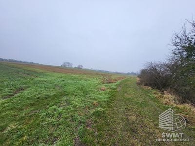 Działka na sprzedaż, Kołbaskowo Warzymice, 3000 m² — ARK26508, zdjęcie 4