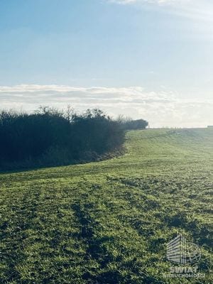 Działka na sprzedaż, Krajenka Skórka, 28500 m² — DZI20108, zdjęcie 2