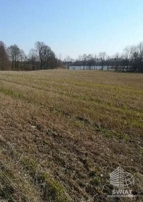 Działka na sprzedaż, Krzęcin Kaszewo, 3985 m² — IDN34087, zdjęcie 3