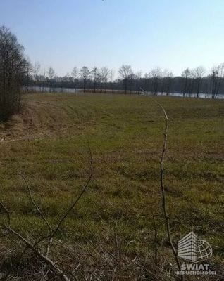 Działka na sprzedaż, Krzęcin Kaszewo, 3985 m² — IDN34087, zdjęcie 4