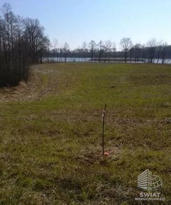 Działka na sprzedaż, Krzęcin Kaszewo, 3985 m² — IDN34087, zdjęcie 5