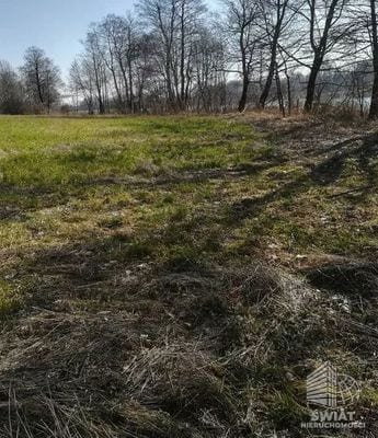 Działka na sprzedaż, Krzęcin Kaszewo, 3985 m² — IDN34087, zdjęcie 6