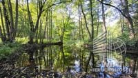 Działka na sprzedaż, Lubiszyn Staw, 40479 m² — INW30966, zdjęcie 1