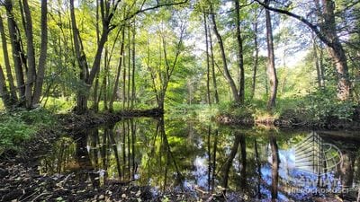 Działka na sprzedaż, Lubiszyn Staw, 40479 m² — INW30966, zdjęcie 1