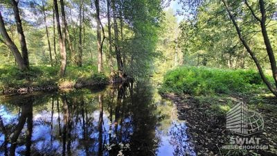 Działka na sprzedaż, Lubiszyn Staw, 40479 m² — INW30966, zdjęcie 3