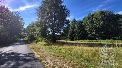 Działka na sprzedaż, Lubiszyn Staw, 40479 m² — INW30966, zdjęcie 5