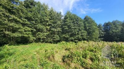 Działka na sprzedaż, Lubiszyn Staw, 40479 m² — INW30966, zdjęcie 6