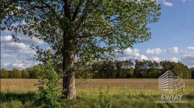 Działka na sprzedaż, Lubniewice Jarnatów, 66142 m² — CIT25336, zdjęcie 1