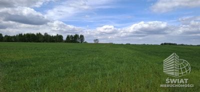Działka na sprzedaż, Maszewo Bagna, 54555 m² — PTR26124, zdjęcie 2