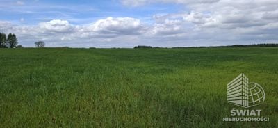 Działka na sprzedaż, Maszewo Bagna, 54555 m² — PTR26124, zdjęcie 3