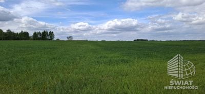 Działka na sprzedaż, Maszewo Bagna, 54555 m² — PTR26124, zdjęcie 4