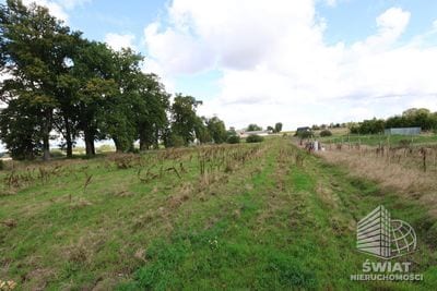 Działka na sprzedaż, Maszewo Dębice, 955 m² — MNI22140, zdjęcie 5
