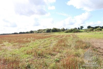 Działka na sprzedaż, Maszewo Dębice, 1504 m² — MNI22142, zdjęcie 5