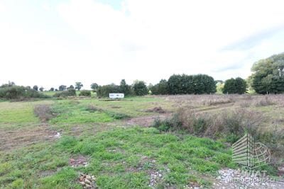 Działka na sprzedaż, Maszewo Dębice, 2923 m² — MNI22143, zdjęcie 3