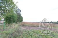 Działka na sprzedaż, Maszewo Dębice, 1699 m² — , zdjęcie 2