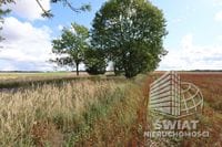 Działka na sprzedaż, Maszewo Dębice, 1699 m² — , zdjęcie 4
