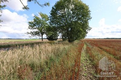 Działka na sprzedaż, Maszewo Dębice, 1597 m² — MNI22211, zdjęcie 6