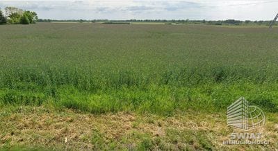 Działka na sprzedaż, Maszewo, 1200 m² — MTN13466, zdjęcie 1
