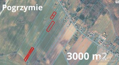 Działka na sprzedaż, Maszewo Pogrzymie, 600 m² — ROY03907, zdjęcie 4
