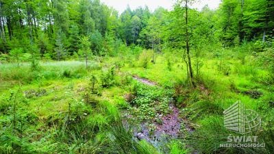 Działka na sprzedaż, Maszewo Przemocze, 883 m² — PTR26123, zdjęcie 3