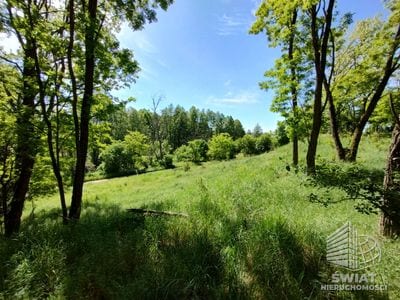 Działka na sprzedaż, Mieszkowice Stary Błeszyn, 1500 m² — PTR25807, zdjęcie 4