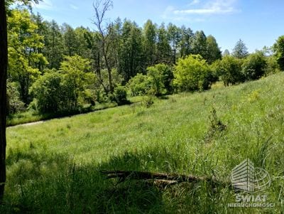Działka na sprzedaż, Mieszkowice Stary Błeszyn, 1500 m² — PTR25807, zdjęcie 6