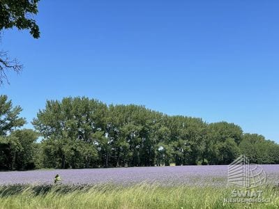 Działka na sprzedaż, Moryń, 1136 m² — BON45928, zdjęcie 1