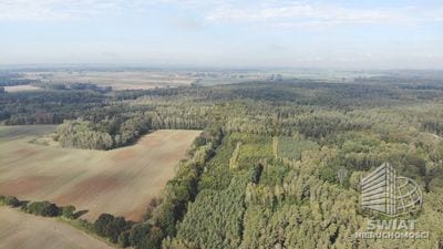 Działka na sprzedaż, Myślibórz Rów, 6200 m² — AVN22461, zdjęcie 1
