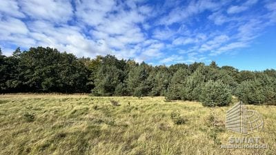 Działka na sprzedaż, Nowe Warpno Brzózki, 2656 m² — INW30857, zdjęcie 2