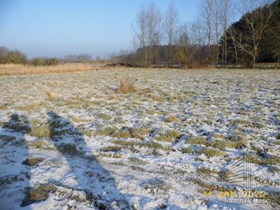 Działka na sprzedaż, Nowe Warpno Brzózki, 1173 m² — KOM31903, zdjęcie 1
