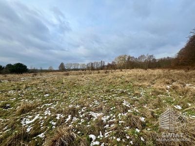 Działka na sprzedaż, Nowe Warpno Brzózki, 3405 m² — MAP22706, zdjęcie 5