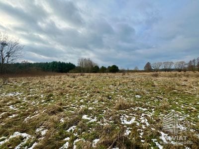 Działka na sprzedaż, Nowe Warpno Brzózki, 3211 m² — MAP22707, zdjęcie 6