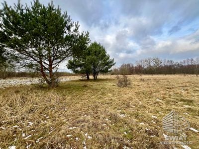 Działka na sprzedaż, Nowe Warpno Brzózki, 3115 m² — MAP22708, zdjęcie 6