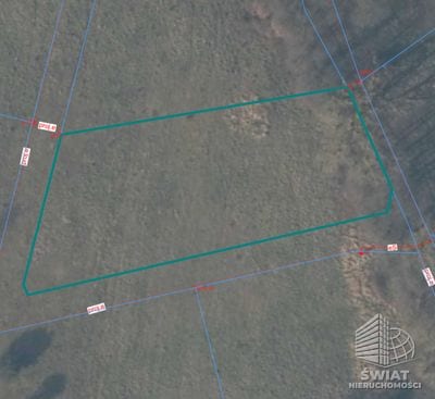 Działka na sprzedaż, Nowe Warpno Brzózki, 3235 m² — MAP22710, zdjęcie 1