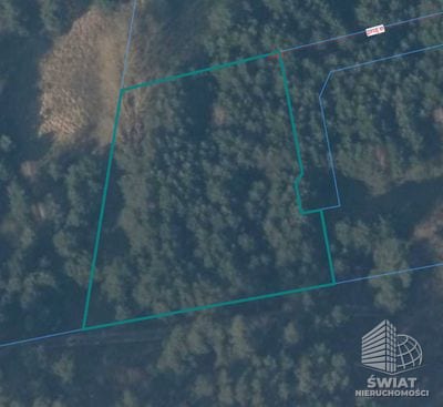 Działka na sprzedaż, Nowe Warpno Brzózki, 3121 m² — MAP22715, zdjęcie 2